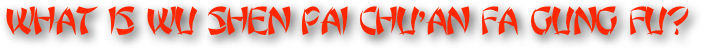 WHAT IS WU SHEN PAI CHU’AN FA GUNG FU?
