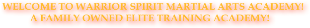    WELCOME TO WARRIOR SPIRIT MARTIAL ARTS ACADEMY!
               A Family owned elite training academy!