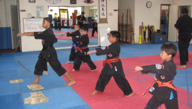 TRANSPORTED AFTER SCHOOL KUNG FU... The T.A.S.K. FORCE program